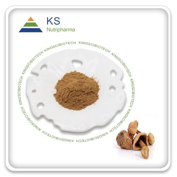 Agaricus blazei huby extrakt