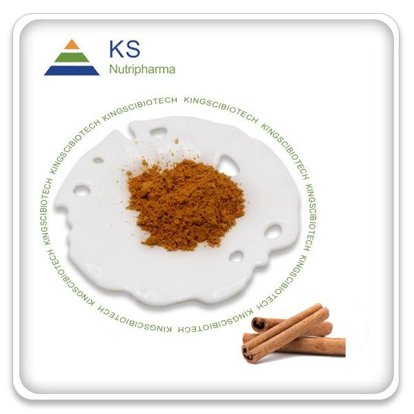 Extrakt zo škorice v prášku