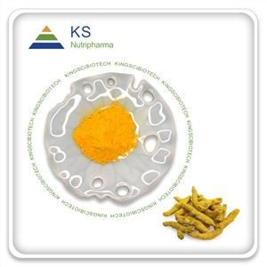 95% kurkumínový prášok