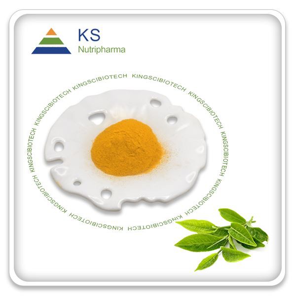 Katechínový extrakt zo zeleného čaju