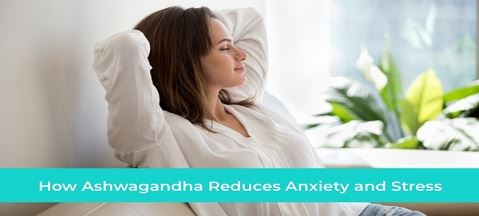 Ashwagandha: Ideálny doplnok na zmiernenie stresu