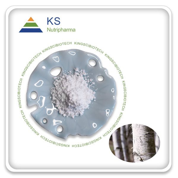 Betulínový extrakt z brezovej kôry