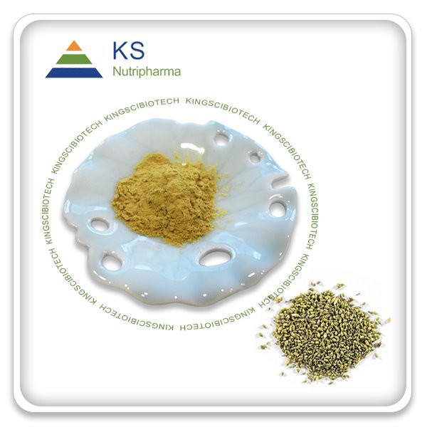 Čistý kvercetínový prášok