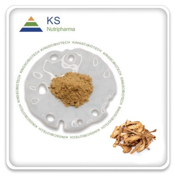 Výťažok z Angeliky