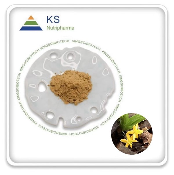 Výťažok z podzemku obyčajného kurkuliga