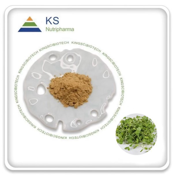 Výťažok z Nasturtium Officinale