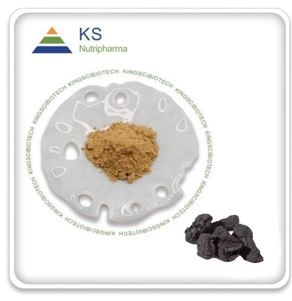 Extrakt z Rehmannia Glutinosa